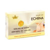 Echina Kingphar