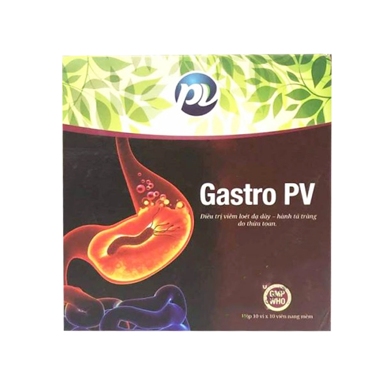 Gastro PV