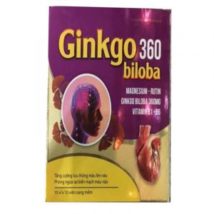 Ginkgo 360 Biloba