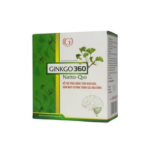 Ginkgo 360 Natto-Q10