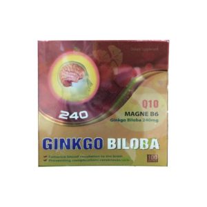 Ginkgo Biloba 240 Hộp 100 Viên