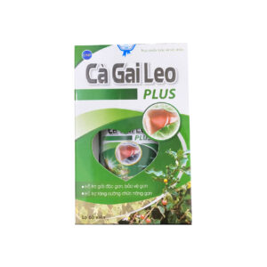 Thực phẩm bảo vệ sức khỏe cà gai leo plus 60 viên