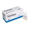 Vincozyn Hộp 50 Ống