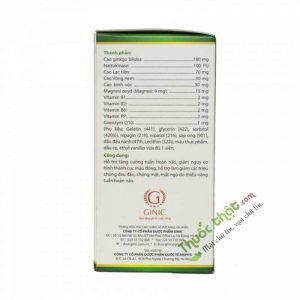 Ginkgo 360 Natto-Q10 Ginic