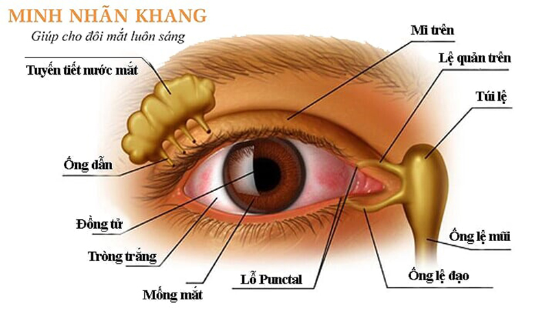 Siêu Thị Thuốc Tây