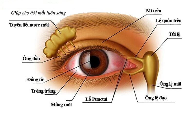 Siêu Thị Thuốc Tây