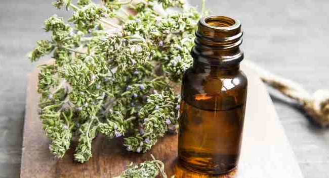 Kinder Thymepect Chiết xuất Cỏ xạ hương