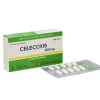 Celecoxib Hộp 30 Viên