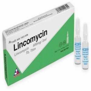 Lincomycin