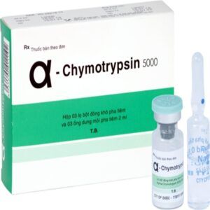 α Chymotrypsin 5000