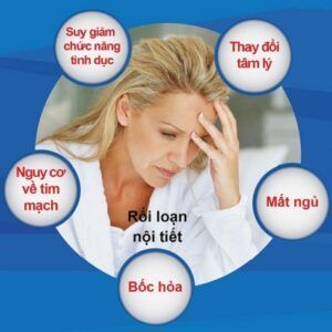 Estro HER - Nội tiết tố nữ