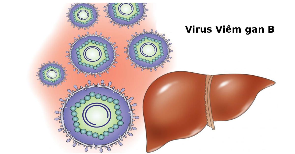 Lamivudine Savi 100 Hộp 30 Viên - Điều Trị Viêm Gan B
