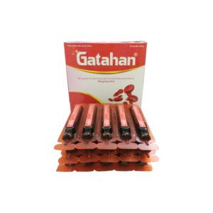 Gatahan - Hộp 30 Ống