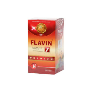 Flavin 7 Premium Chai 500ml